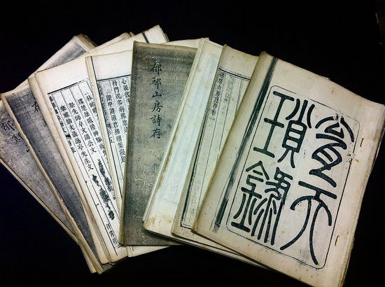 宜宾发现清朝“铁笔御史”赵树吉弹劾权贵奏章(图1)