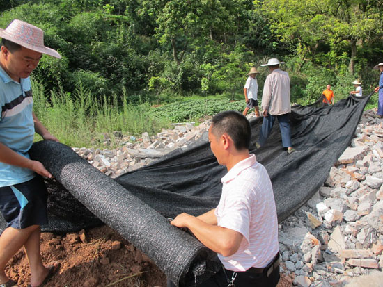 泰安镇开展城乡环境综合治理专项行动(图2)