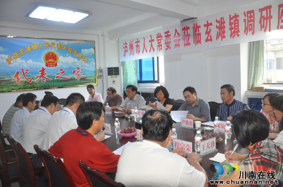 泸州市人大常委会到玄滩镇调研人大工作(图1)