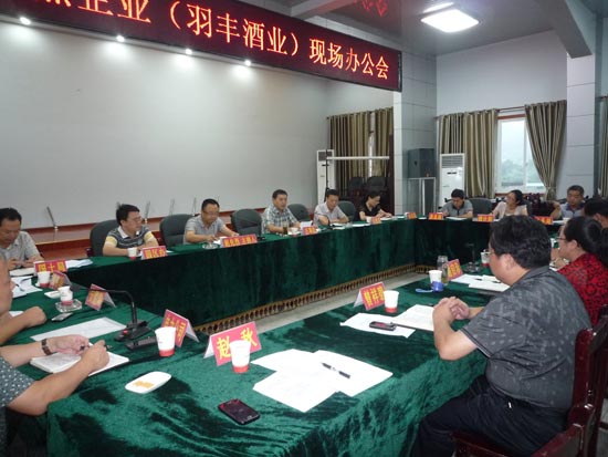 合江县纪委书记王举松调研羽丰酒业(图4)