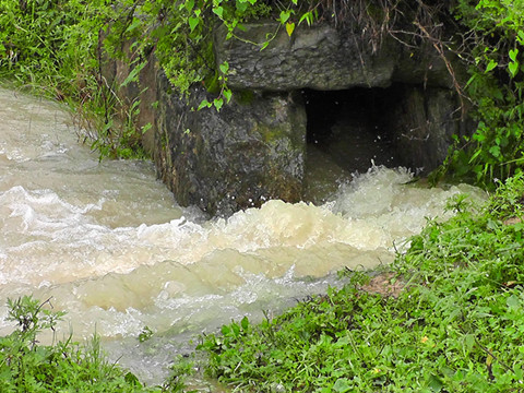 龙山镇:普降大雨 多举措救灾(图4) 龙山镇:普降大雨 多举措救灾(图4)