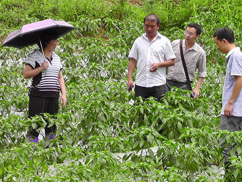 龙山镇:普降大雨 多举措救灾(图5) 龙山镇:普降大雨 多举措救灾(图5)