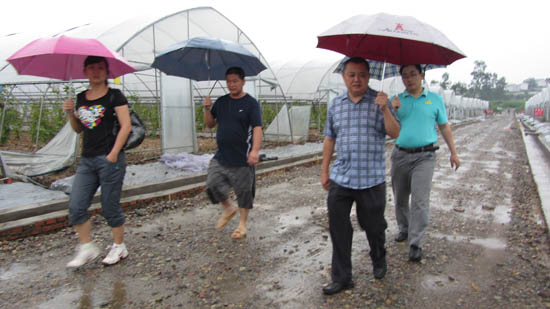 特兴镇走马村:坚定信心 生产自救(图1) 特兴镇走马村:坚定信心 生产自救(图1)