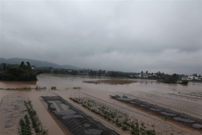泸县“7.22”暴雨灾害（组图）(图3)