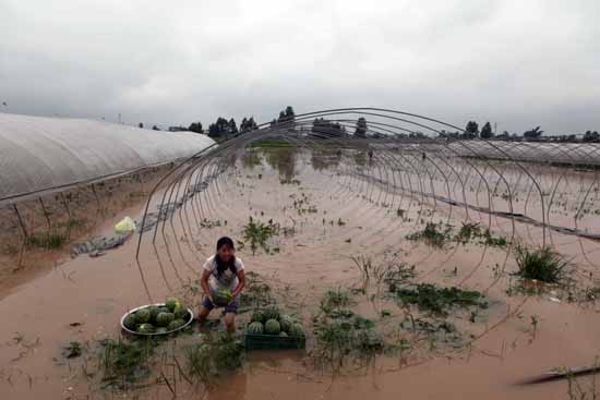 暴雨袭泸县 14.65万人受灾(图3) 暴雨袭泸县 14.65万人受灾(图3)