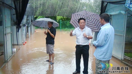 五通镇：关心群众&nbsp;关乎灾情&nbsp;干部职工齐上阵(图2)