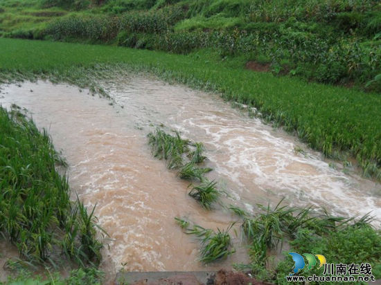 泸县立石镇7.22洪灾（组图）(图4)