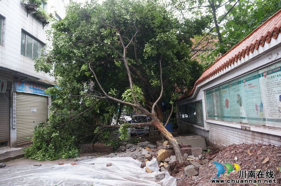 泸县立石镇7.22洪灾（组图）(图6)