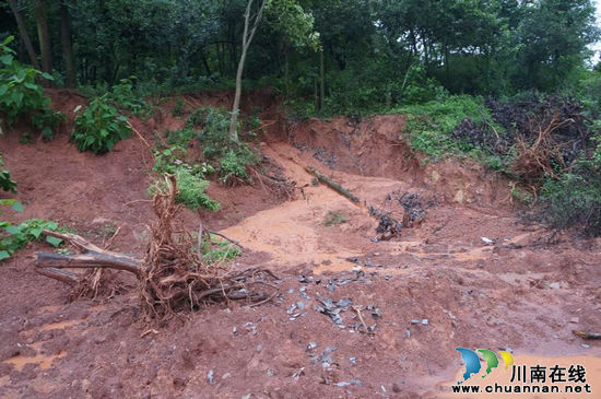 泸县立石镇7.22洪灾（组图）(图12)