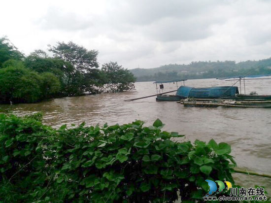 合江大桥镇：抗洪抢险争分夺秒&nbsp;干部长夜不眠不休(图2)