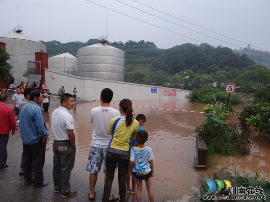 特兴镇：夜以继日与洪峰赛跑(图1)