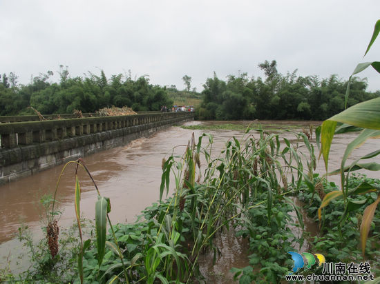 特兴镇：夜以继日与洪峰赛跑(图3)