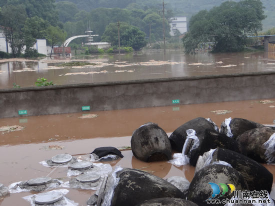 特兴镇：夜以继日与洪峰赛跑(图2)
