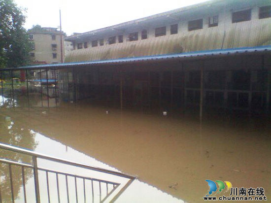 泸州市实验中学师生抗洪抢险(图3)