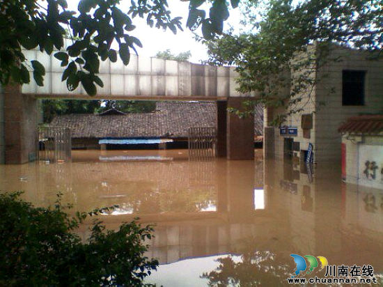 泸州市实验中学师生抗洪抢险(图1)