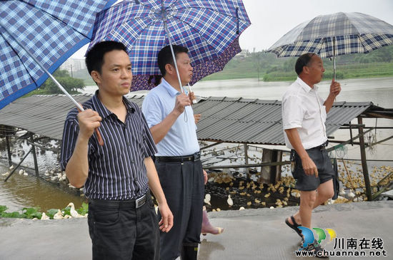 泸县县委常委、宣传部长颜习林指导云锦镇抗洪抢险工作(图1)