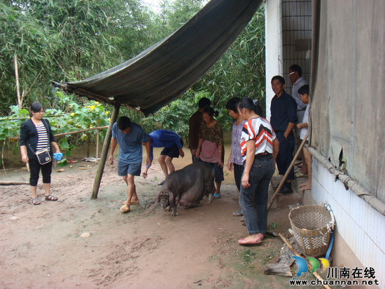 白米乡：停航封渡挡不住抗洪抢险脚步(图2)