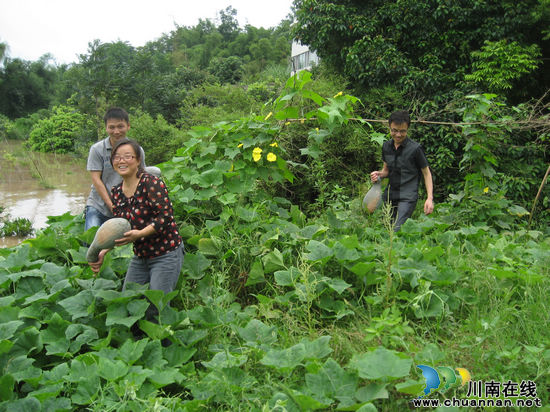 白米乡：停航封渡挡不住抗洪抢险脚步(图1)