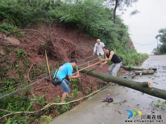 泸县方洞镇：防灾预案保交通通畅(图2)