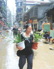 泸州：洪水预警&nbsp;发送400万条短信&nbsp;转移13万群众(图1)