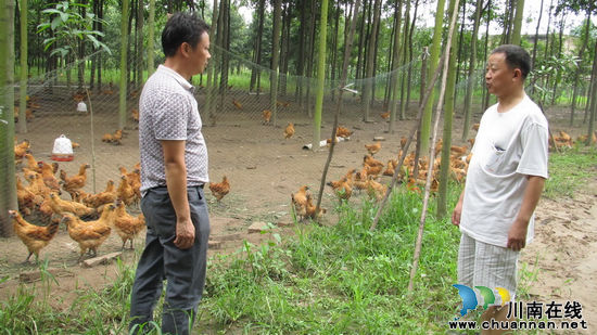 魏坝村党支书邹智勇：舍小家顾大家&nbsp;彰显党员本色(图2)