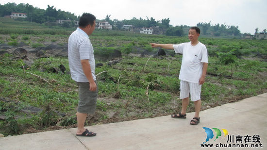 魏坝村党支书邹智勇：舍小家顾大家&nbsp;彰显党员本色(图1)
