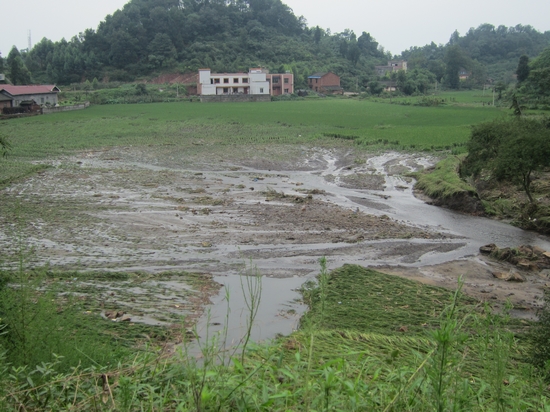 方洞镇:党政班子奋战抗洪一线(图2) 方洞镇:党政班子奋战抗洪一线(图2)