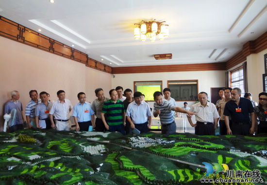 省政协副主席黄润秋调研华阳街道现代农业发展情况(图1)