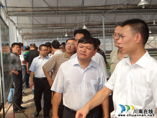 省政协副主席黄润秋调研华阳街道现代农业发展情况(图4)