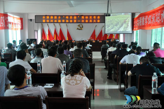 叙永：200多名彝乡果农抱团找销路(图1)