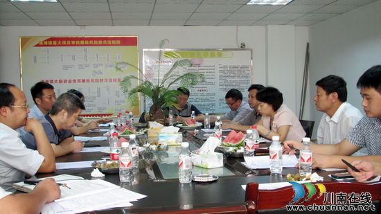江阳区人大到通滩镇实地调研高粱产业发展工作(图1)