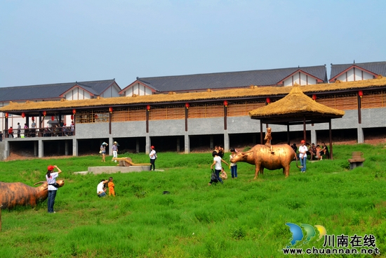泸州：幸福华阳&nbsp;乡村旅游雕刻诗意田园生活(图7)