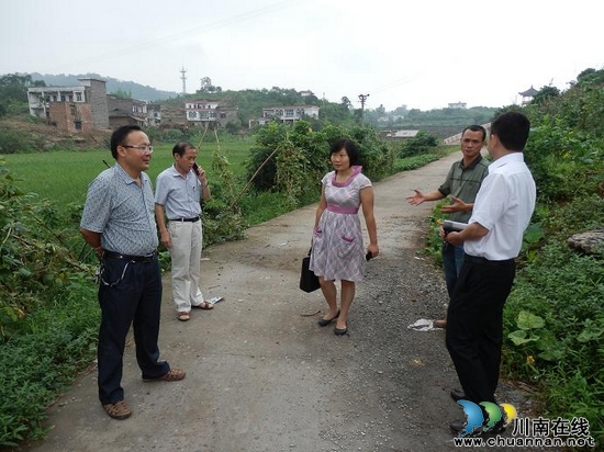 合江县委农工办到大桥镇督查新农村建设进度(图1)