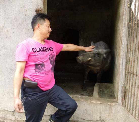 叙永劳模罗秀龙 艰苦创业铸辉煌(图1) 叙永劳模罗秀龙 艰苦创业铸辉煌(图1)