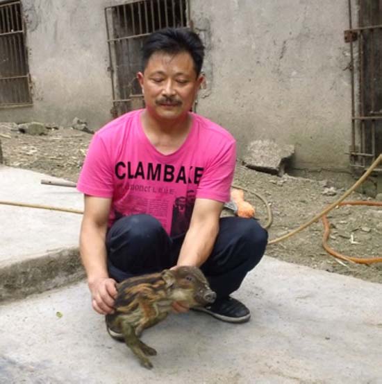 叙永劳模罗秀龙 艰苦创业铸辉煌(图3) 叙永劳模罗秀龙 艰苦创业铸辉煌(图3)