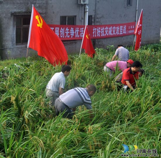 云锦镇:大灾后有大爱 突击队活跃在田间(图1) 云锦镇:大灾后有大爱 突击队活跃在田间(图1)