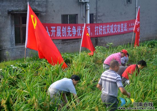 云锦镇：大灾后有大爱&nbsp;突击队活跃在田间