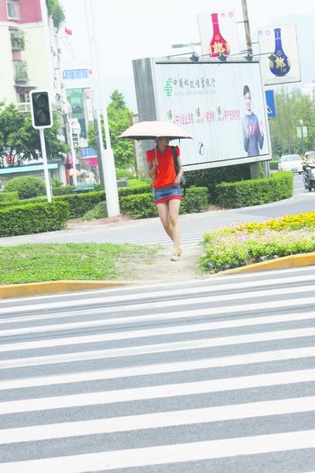 泸县满街踩花大道(图1) 泸县满街踩花大道(图1)