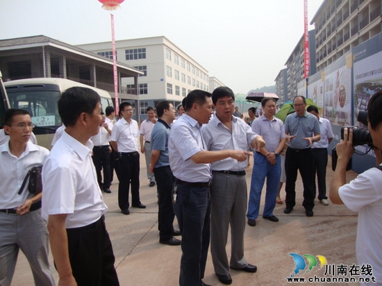 全国、省人大代表莅临合江临港工业园区参观指导(图2)