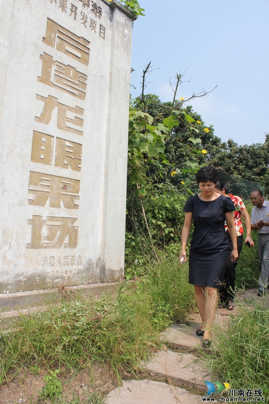 孙海燕到潮河调研森林防火和新农村建设(图3)