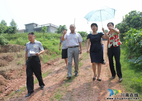 孙海燕到潮河调研森林防火和新农村建设(图1)