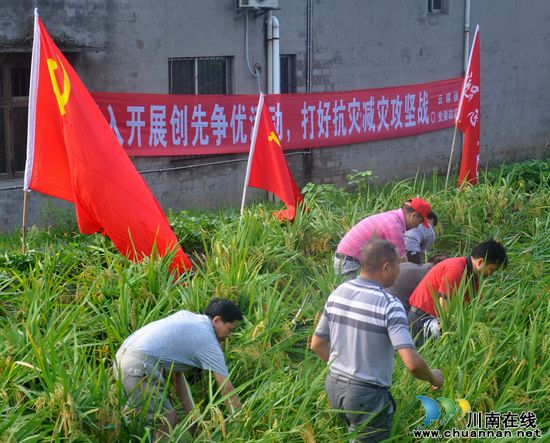 云锦镇：灾难无情人有情&nbsp;干群同战谱新篇(图5)