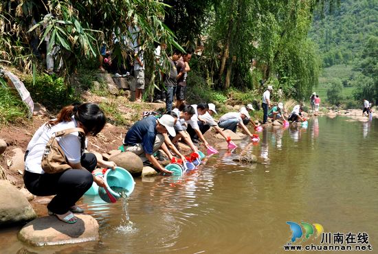古蔺：桂花乡苗族同胞“赶苗场”忙(图4)
