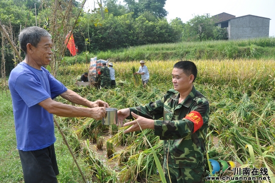 泸州纳溪：党员助收队&nbsp;乡间打谷忙(图2)