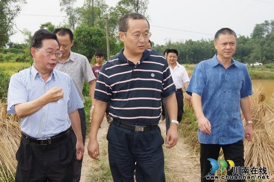 泸州市副市长李晓宇到太伏镇调研生态农业发展情况(图1) 泸州市副市长李晓宇到太伏镇调研生态农业发展情况(图1)