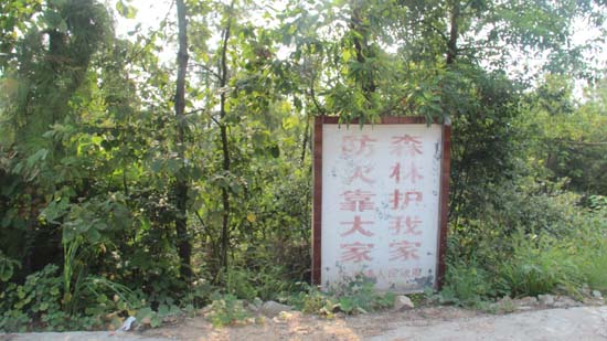 牛滩镇:秋季森林防火 书记一线检查(图2) 牛滩镇:秋季森林防火 书记一线检查(图2)