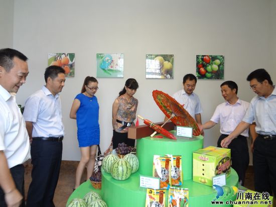 省农业厅、省旅游局检查组莅泸检查华阳旅游工作(图2) 省农业厅、省旅游局检查组莅泸检查华阳旅游工作(图2)