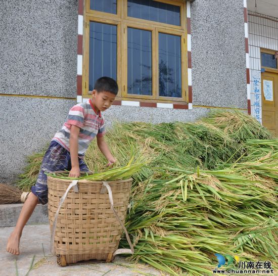 纳溪大渡口镇：留守儿童唐龙江&nbsp;我的假期也充实(图3)