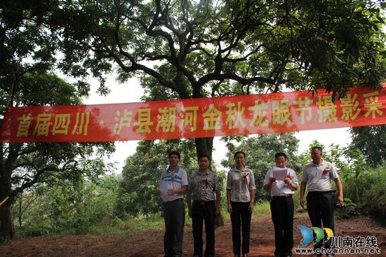 泸州:大成网S女郎助阵"潮河龙眼节摄影采风"活动(图1) 泸州:大成网S女郎助阵"潮河龙眼节摄影采风"活动(图1)