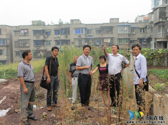龙马潭区教育局局长胡林到城北学校现场办公(图1)